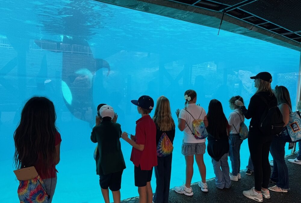 Third Grade Goes to SeaWorld