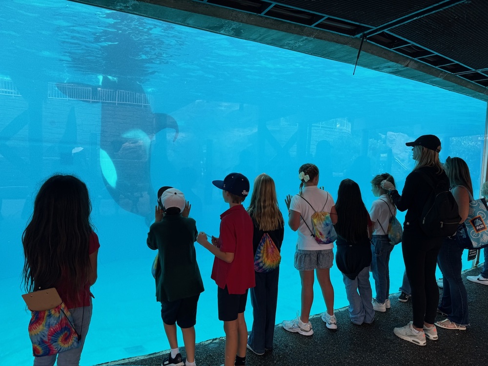 Third Grade Goes to SeaWorld
